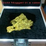 the gold nugget case